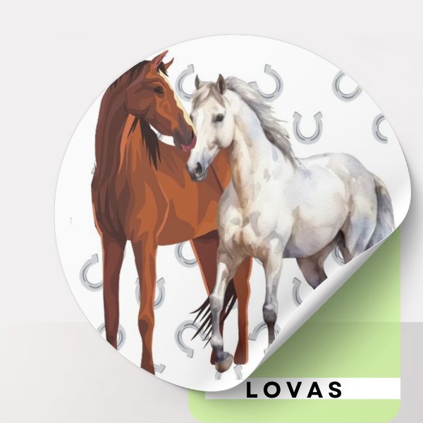 Lovas iskolatáska